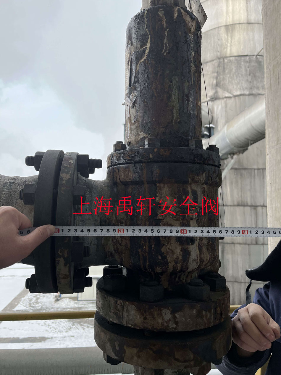 新疆國泰新華化工公司訂購兩台高壓安全閥(圖1) 新疆國泰新華化工公司訂購兩台高壓安全閥(圖1)