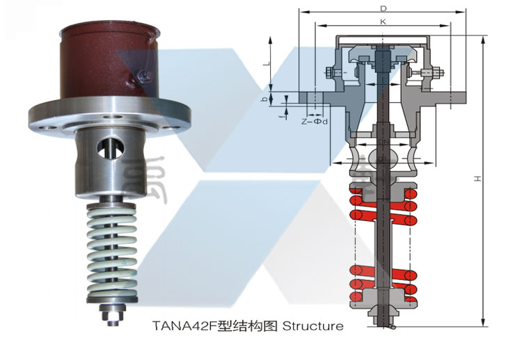 TANA42F-25型內裝式安全閥(圖1)