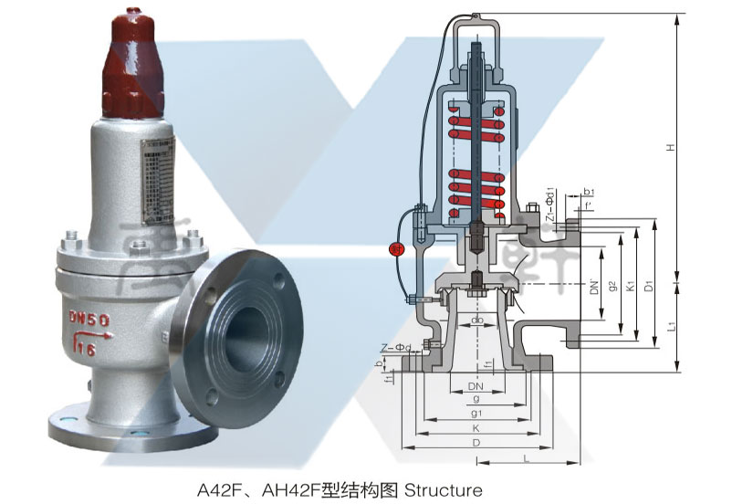 AH42F-16/25/40C,P,R型安全回流閥(圖1)