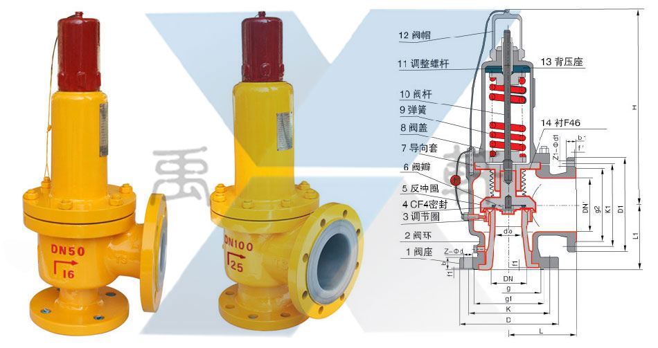 WA42F46-50mm帶波紋管彈簧襯氟安全閥(圖1)